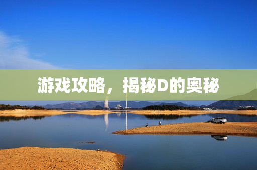 游戏攻略，揭秘D的奥秘