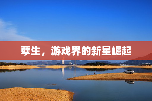 孽生，游戏界的新星崛起
