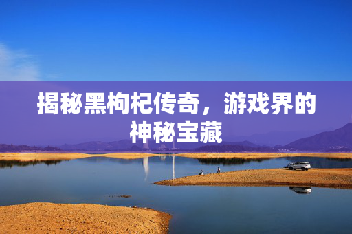 揭秘黑枸杞传奇，游戏界的神秘宝藏
