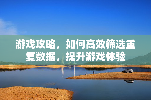 游戏攻略，如何高效筛选重复数据，提升游戏体验