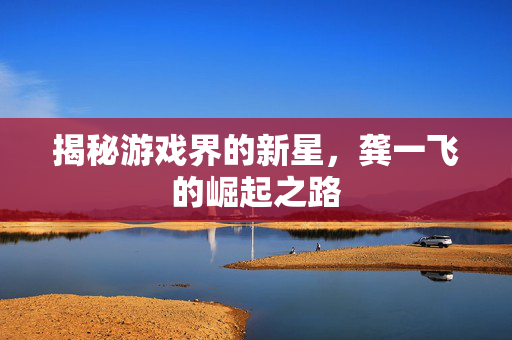 揭秘游戏界的新星，龚一飞的崛起之路