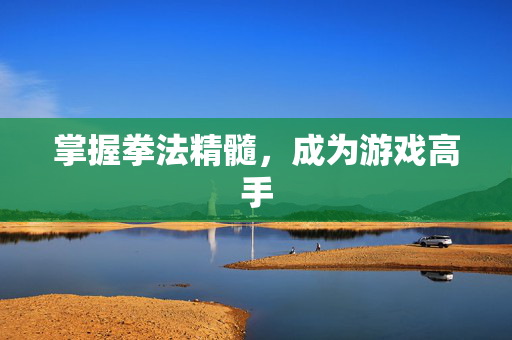 掌握拳法精髓，成为游戏高手