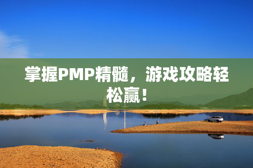 掌握PMP精髓，游戏攻略轻松赢！