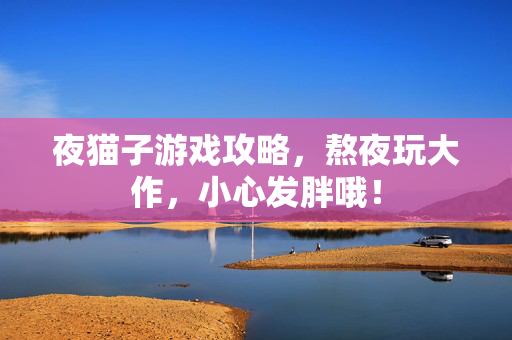 夜猫子游戏攻略，熬夜玩大作，小心发胖哦！-第1张图片-SK游戏资讯网