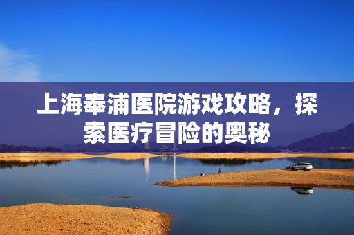上海奉浦医院游戏攻略，探索医疗冒险的奥秘