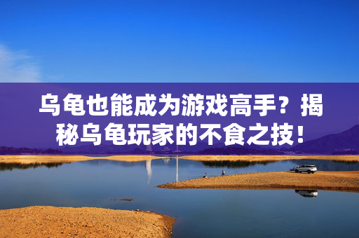 乌龟也能成为游戏高手？揭秘乌龟玩家的不食之技！