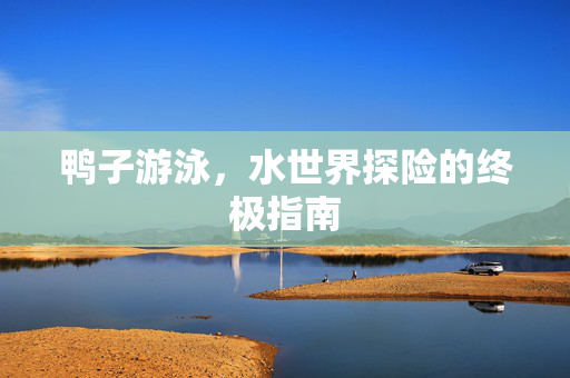 鸭子游泳，水世界探险的终极指南