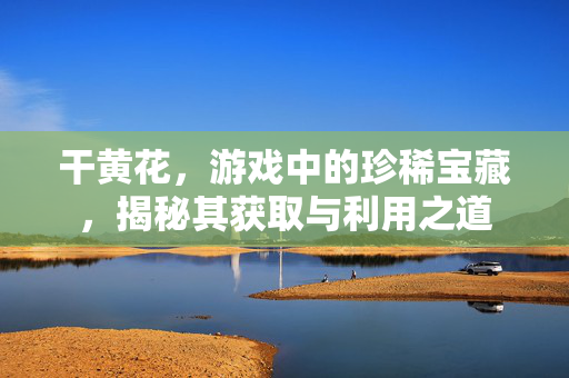 干黄花，游戏中的珍稀宝藏，揭秘其获取与利用之道