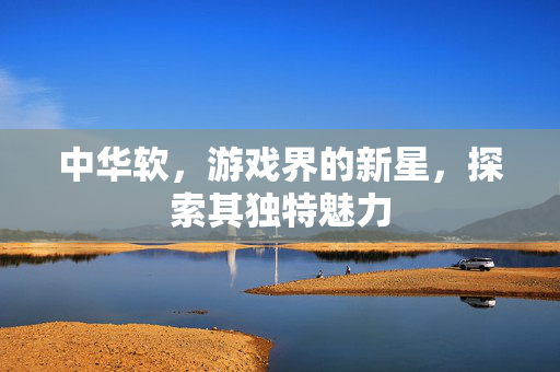 中华软，游戏界的新星，探索其独特魅力