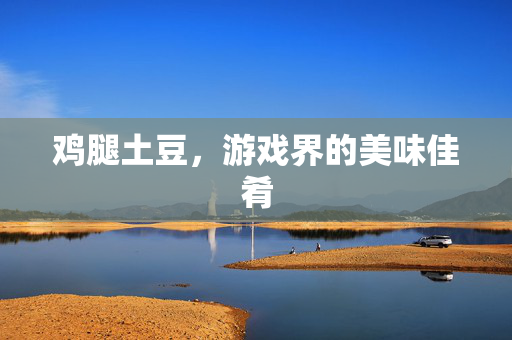 鸡腿土豆，游戏界的美味佳肴