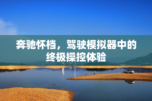 奔驰怀档，驾驶模拟器中的终极操控体验
