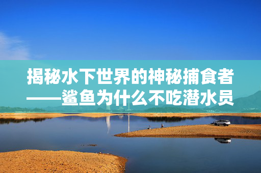 揭秘水下世界的神秘捕食者——鲨鱼为什么不吃潜水员？