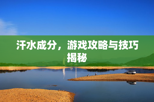 汗水成分，游戏攻略与技巧揭秘