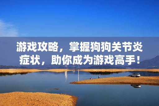 游戏攻略，掌握狗狗关节炎症状，助你成为游戏高手！