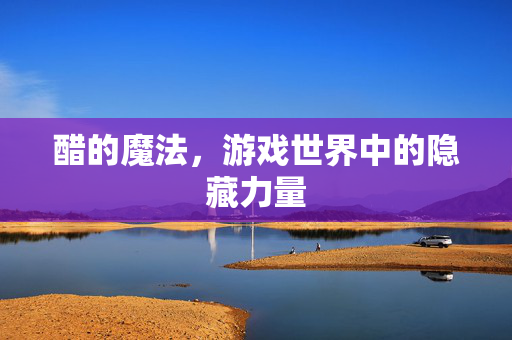 醋的魔法，游戏世界中的隐藏力量