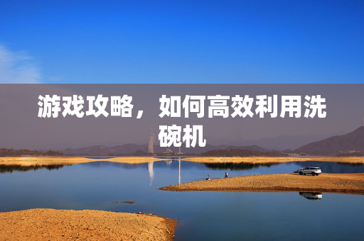 游戏攻略，如何高效利用洗碗机