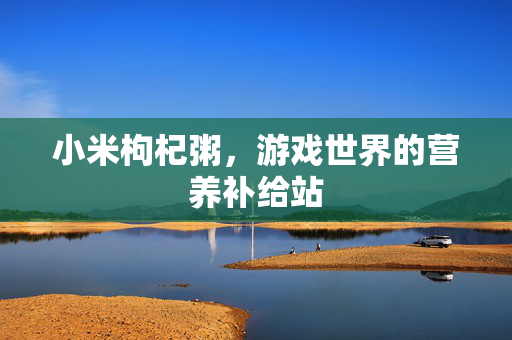 小米枸杞粥，游戏世界的营养补给站