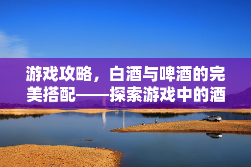 游戏攻略，白酒与啤酒的完美搭配——探索游戏中的酒类文化