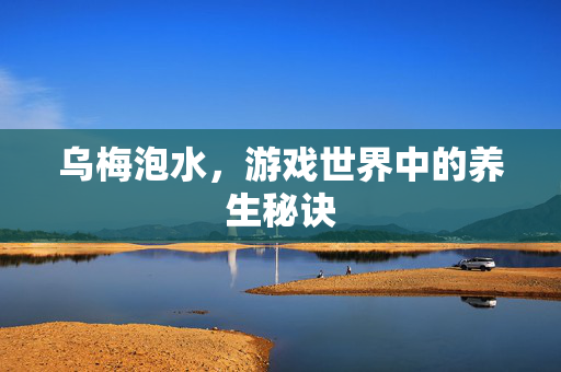 乌梅泡水,游戏世界中的养生秘诀-第1张图片-SK游戏资讯网 乌梅泡水,游戏世界中的养生秘诀-第1张图片-SK游戏资讯网