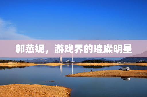 郭燕妮，游戏界的璀璨明星