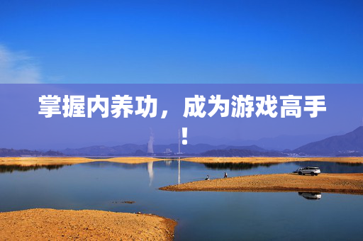 掌握内养功，成为游戏高手！