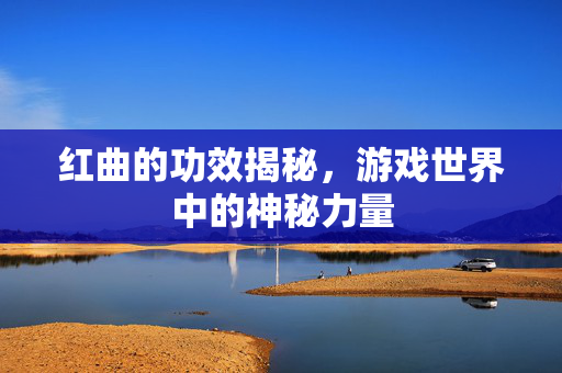 红曲的功效揭秘，游戏世界中的神秘力量
