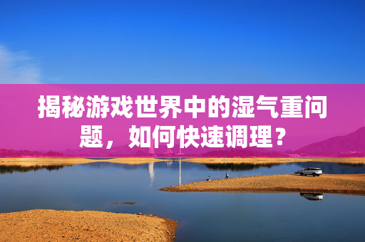 揭秘游戏世界中的湿气重问题，如何快速调理？