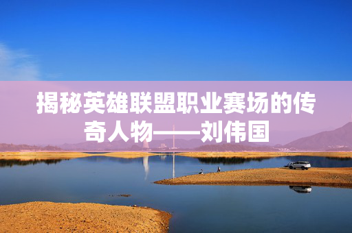 揭秘英雄联盟职业赛场的传奇人物——刘伟国
