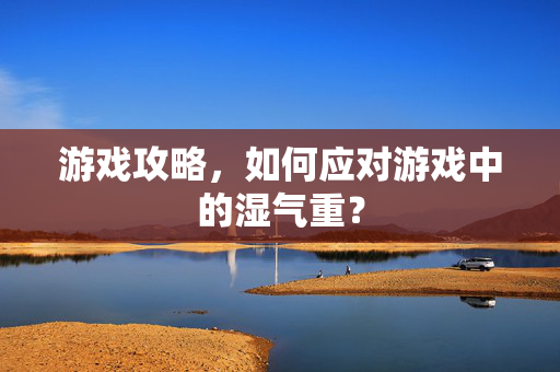 游戏攻略，如何应对游戏中的湿气重？