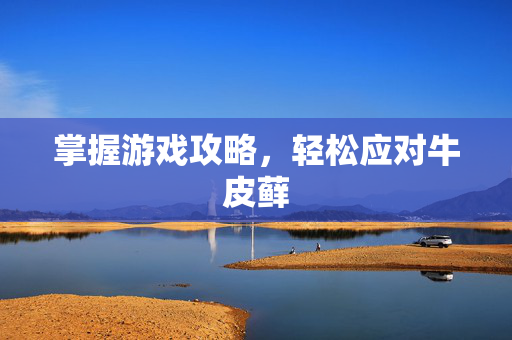 掌握游戏攻略，轻松应对牛皮藓