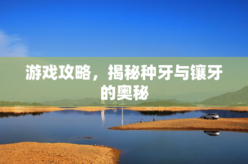 游戏攻略，揭秘种牙与镶牙的奥秘