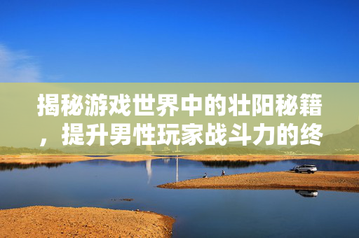 揭秘游戏世界中的壮阳秘籍，提升男性玩家战斗力的终极攻略