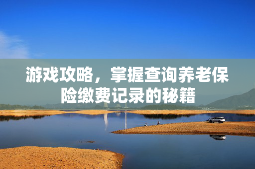 游戏攻略，掌握查询养老保险缴费记录的秘籍