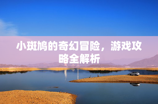 小斑鸠的奇幻冒险，游戏攻略全解析