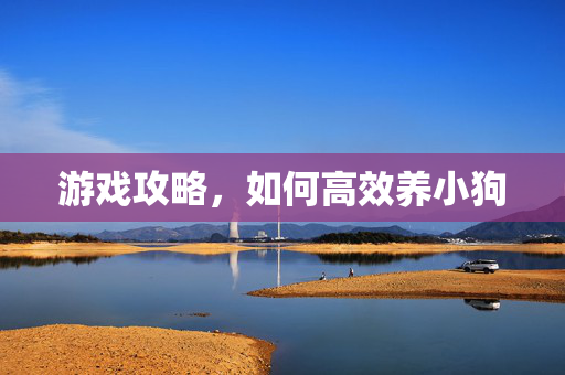 游戏攻略，如何高效养小狗