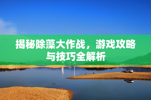 揭秘除藻大作战，游戏攻略与技巧全解析