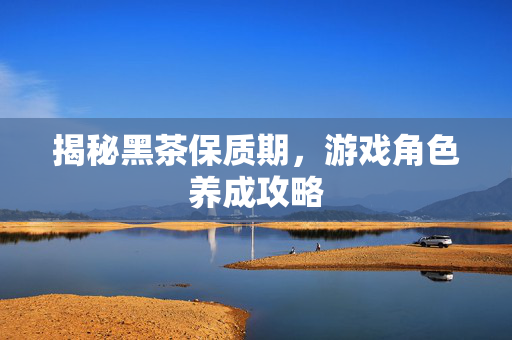 揭秘黑茶保质期，游戏角色养成攻略