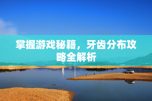 掌握游戏秘籍，牙齿分布攻略全解析