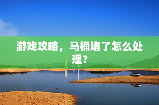 游戏攻略，马桶堵了怎么处理？