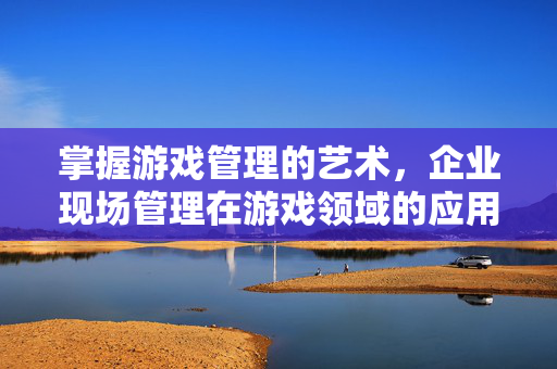 掌握游戏管理的艺术，企业现场管理在游戏领域的应用