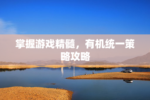 掌握游戏精髓，有机统一策略攻略
