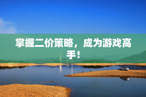 掌握二价策略，成为游戏高手！