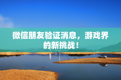 微信朋友验证消息，游戏界的新挑战！
