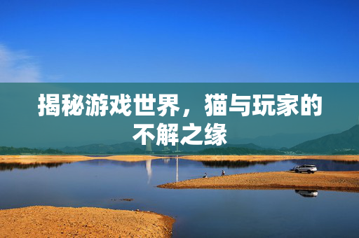 揭秘游戏世界，猫与玩家的不解之缘