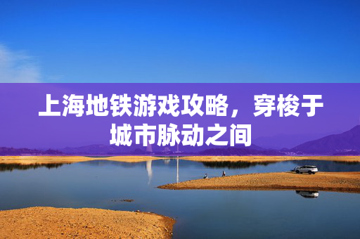 上海地铁游戏攻略，穿梭于城市脉动之间