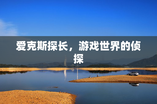 爱克斯探长，游戏世界的侦探