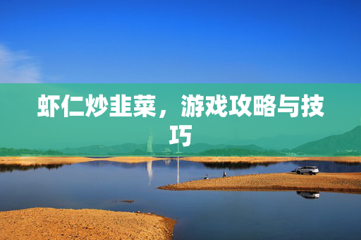 虾仁炒韭菜，游戏攻略与技巧