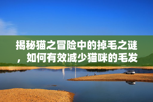揭秘猫之冒险中的掉毛之谜，如何有效减少猫咪的毛发损失？