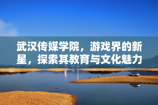 武汉传媒学院，游戏界的新星，探索其教育与文化魅力
