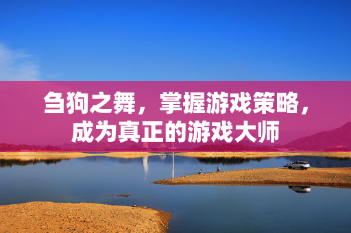 刍狗之舞，掌握游戏策略，成为真正的游戏大师